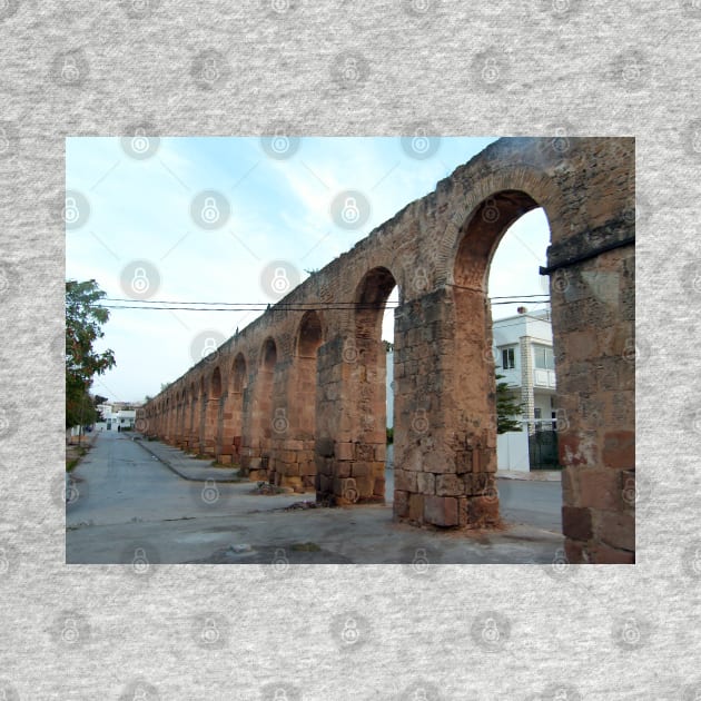 Roman Aqueduct, Tunis by tomg